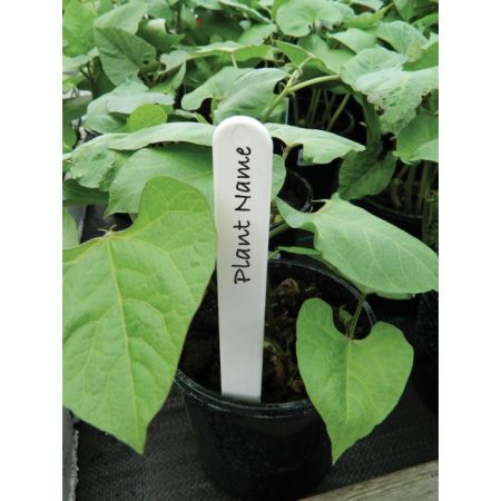 Garland 20Cm (8") White Plant Labels (20)