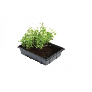 Garland Professional Half Seed Trays 5 Pack