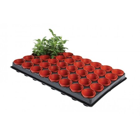 Garland Professional Seed & Cutting Tray 40 x 6cm Pots - image 1