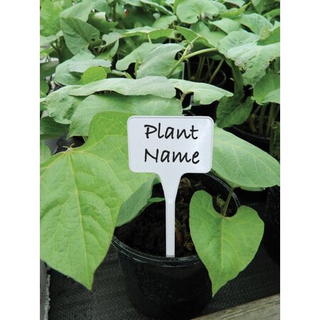 Garland Solid Tee Labels Pack of 10