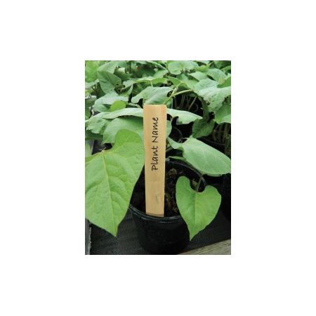 Garland Wooden Plant Labels 4" Pack Of 10