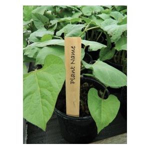 Garland Wooden Plant Labels 4" Pack Of 10