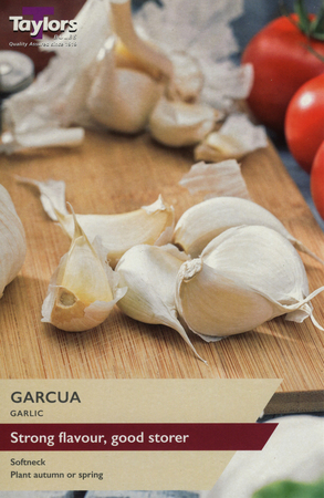 Garlic Garcua 2 bulbs