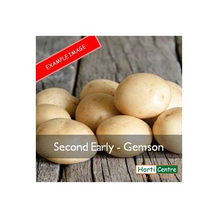Gemson Scottish Seed Potatoes 1.5Kg