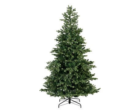 Geneva fir 180 cm - image 2