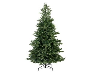 Geneva fir 180 cm - image 2