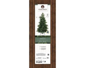 Geneva fir 180 cm - image 3