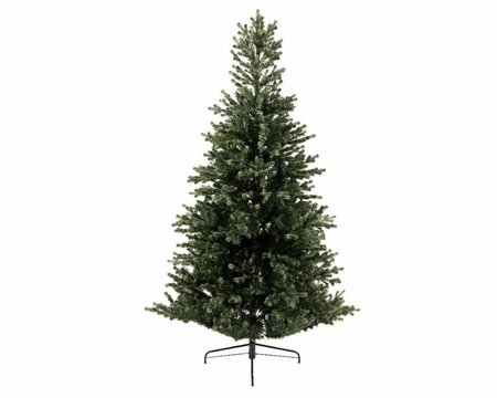 Geneva fir 180 cm - image 1