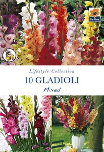 Gladioli Mixed 10 Bulb Pack