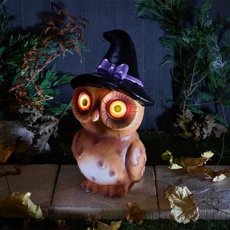 Glow Eye Owl Witch Battery Operated Halloween Decoration