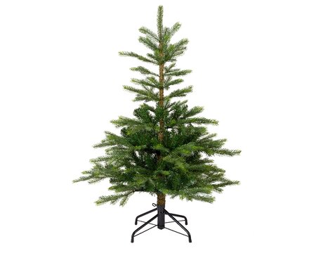 Grandis Fir 120 cm - image 2