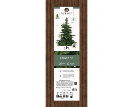 Grandis Fir 120 cm - image 3