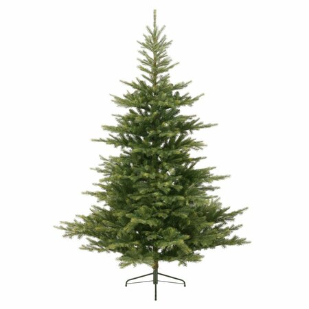 Grandis Fir 180 cm - image 1