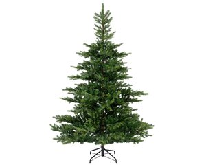 Grandis Fir 210 cm - image 2