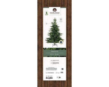 Grandis Fir 210 cm - image 3