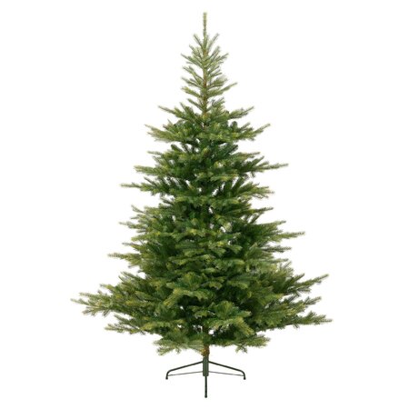 Grandis Fir 210 cm - image 1