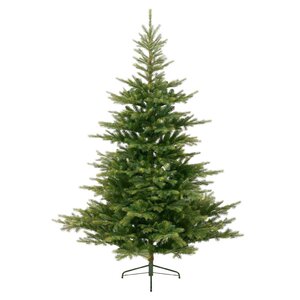 Grandis Fir 210 cm