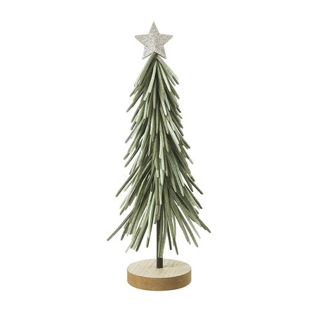 Green Long Leaf Tree
