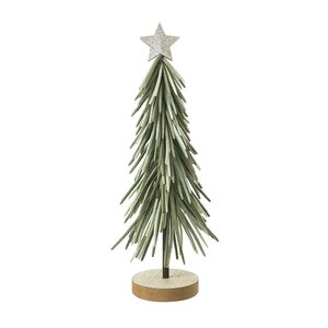 Green Long Leaf Tree