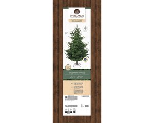 Greenway Spruce 1.8m 6ft Artificial Christmas Tree - image 2