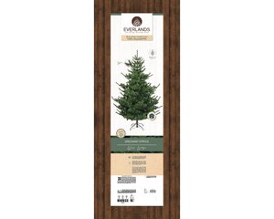 Greenway Spruce 2.1m 7ft Artificial Christmas Tree - image 2