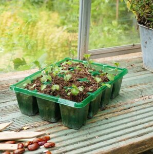 Gro-Sure Visiroot 12 Cell Trays 8 Pack