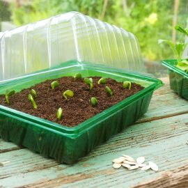 Gro-Sure Visiroot Half Seed Tray 8 Pack - image 2