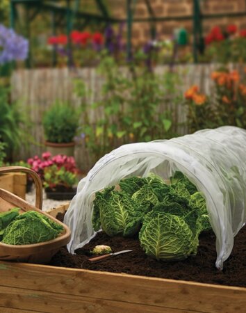 Grow It Grow Tunnel With Micro Mesh Insect Cover - image 2