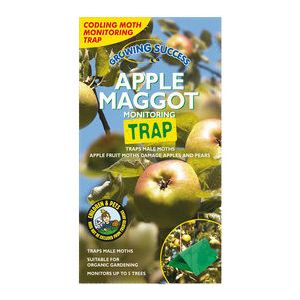 Growing Success Apple Maggot Monitoring Trap