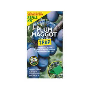Growing Success Plum Maggot Monitoring Trap Refill Kit