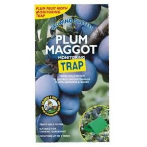 Growing Success Plum Maggot Trap