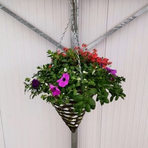 Hanging Basket Cone Topfill 14" £29.99