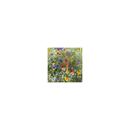 Hardy Annuals Early Flowering Mix- Kings Seeds