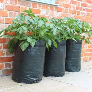 Haxnicks Potato Patio Planter Pack Of 3 - image 2