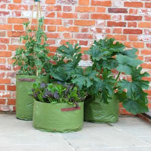 Haxnicks Vegetable Patio Planter Pack Of 3