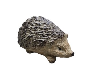 Hedgehog Crawling Decoration