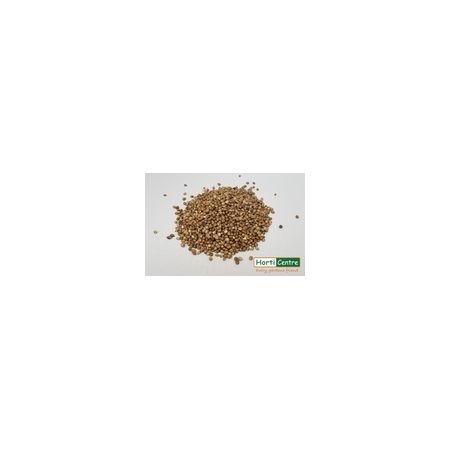 Hemp Seed 1 Kg