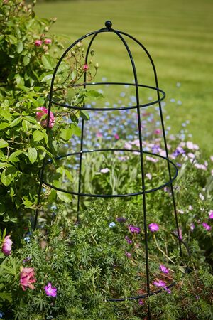 Herbaceous Cloche Large - image 1