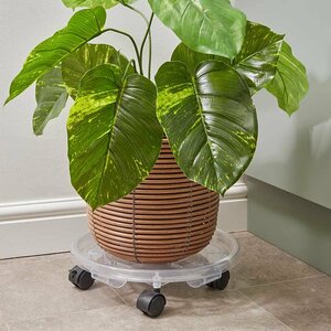 Home Style Pot Caddy 33cm