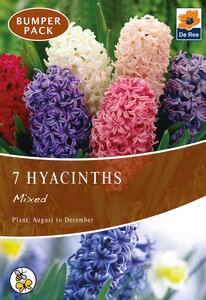 Hyacinth - Mixed - 7 Pack