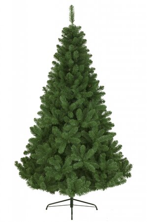 Imperial Pine 150cm - image 2