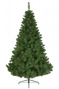 Imperial Pine 150cm - image 2