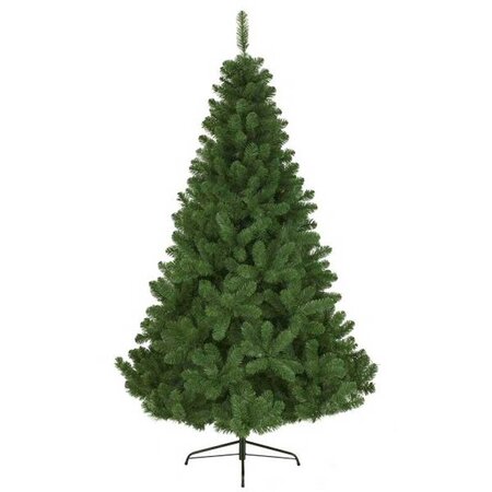 Imperial Pine 210 cm