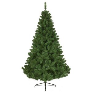 Imperial Pine 210 cm