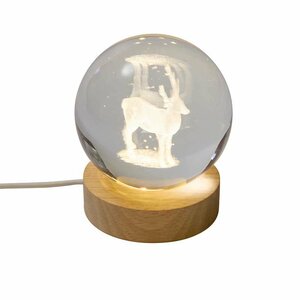 InLit GloBall - Stag - image 2