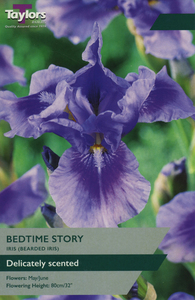 Iris Bedtime Story 1 Bulb Pack