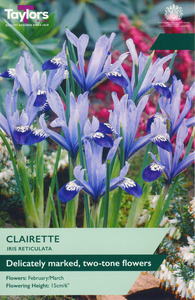 Iris Reticulata - Clairette - 10 Bulb Pack