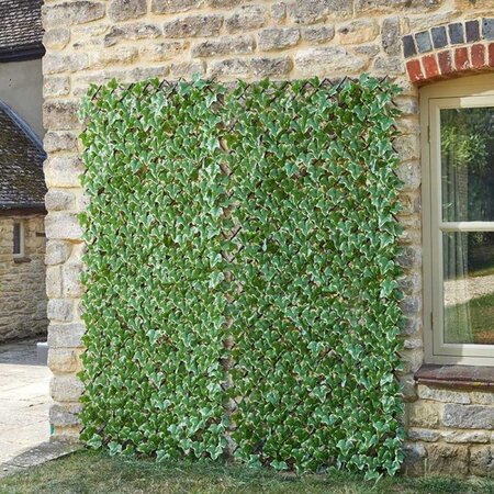 Ivy Leaf 180cm x 60cm Trellis - image 1