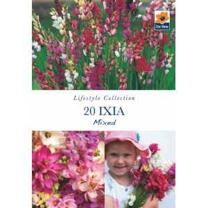 Ixia Mixed 20 Bulb Pack