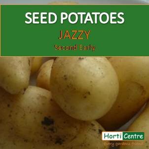 Jazzy Scottish Seed Potatoes Xmas 1Kg